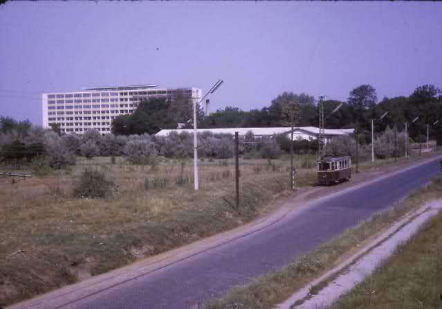 1969.jpg