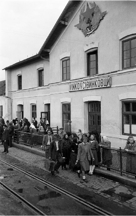 Vinkovci 1951.jpg