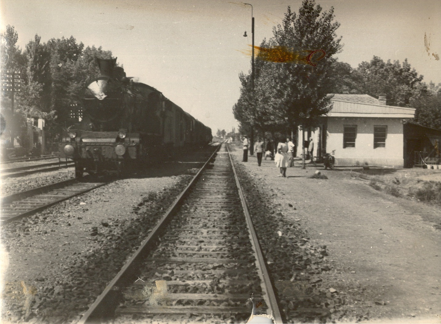 Jugovićevo, 1954. g NS-.jpg