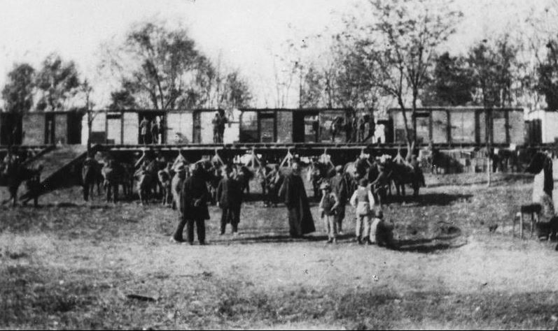 2.Transport of the 5th Connaught Rangers at Doiran Station, Macedonia.JPG