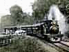 Korisnikov avatar