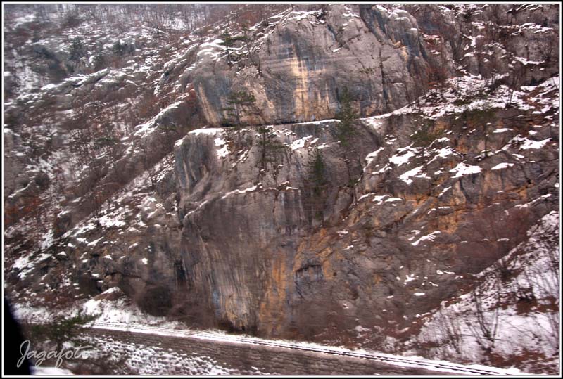 Rurod1-4.jpg