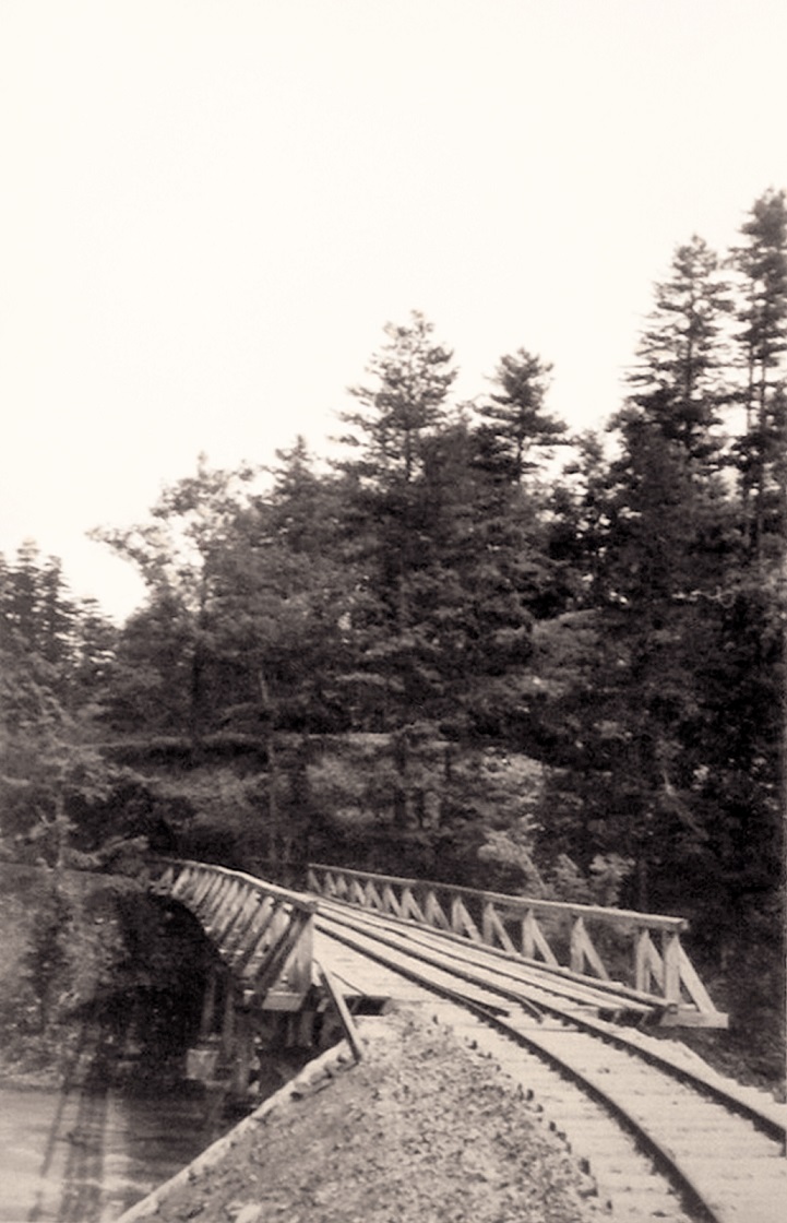 Narrow-Gauge-Railway_ZOK_Trestle_Towards-Han-Pijesak.jpg