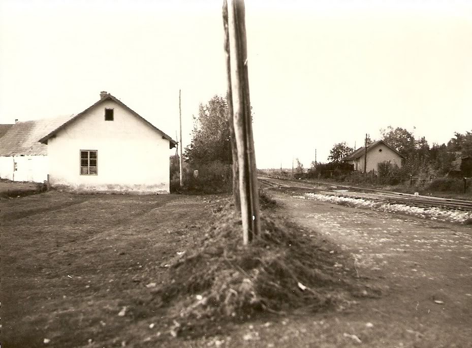 NovoSeloStanica.jpg