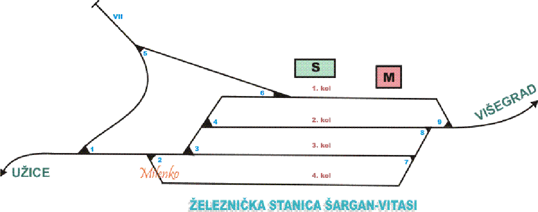 sarganvitasi-1.gif