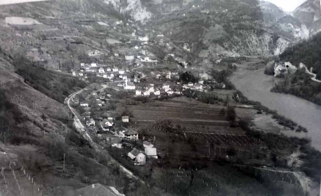 Medjedja1.jpg