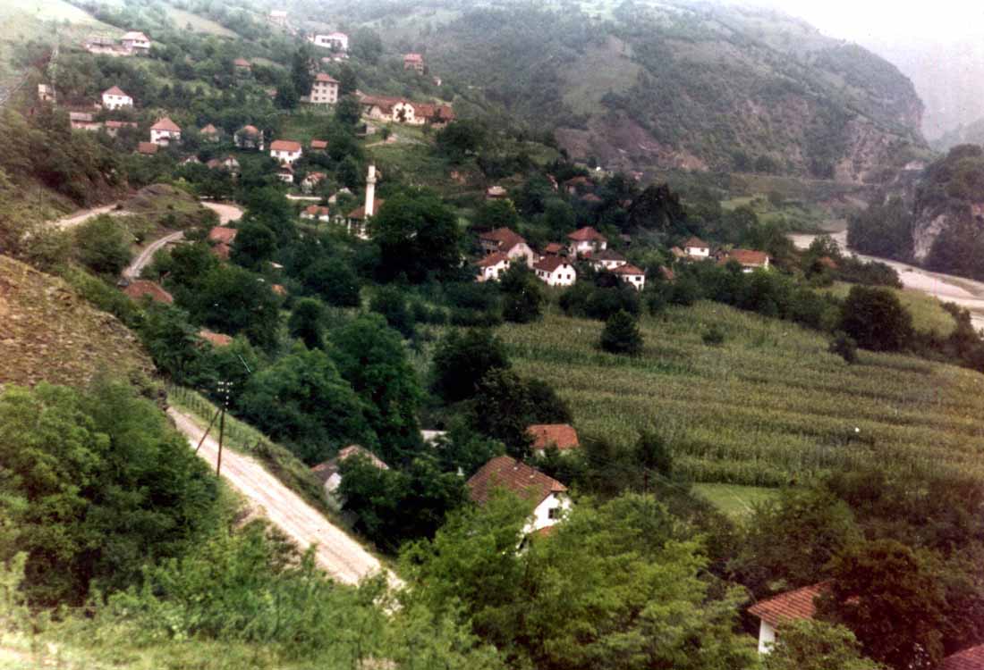 Medjedja-3.jpg