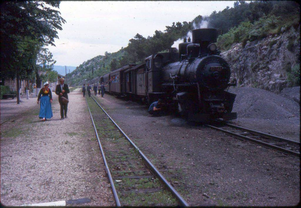 Cavta-Zvekovica.jpg