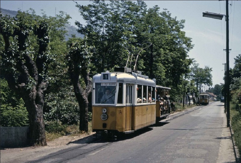 DubrovnikTr.jpg