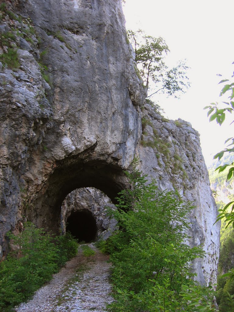 miljkan1  Stari-tunel.jpg