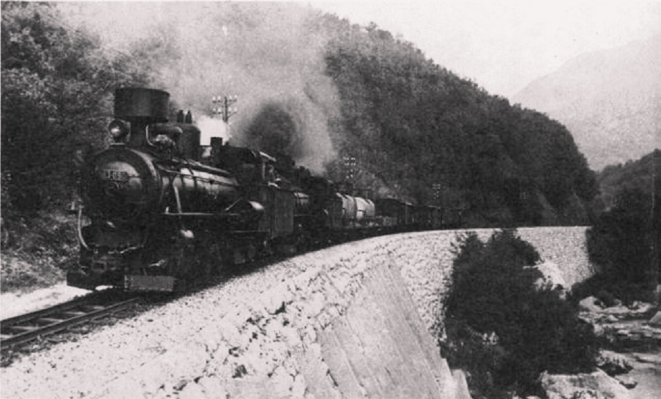 Dub  -20.JPG