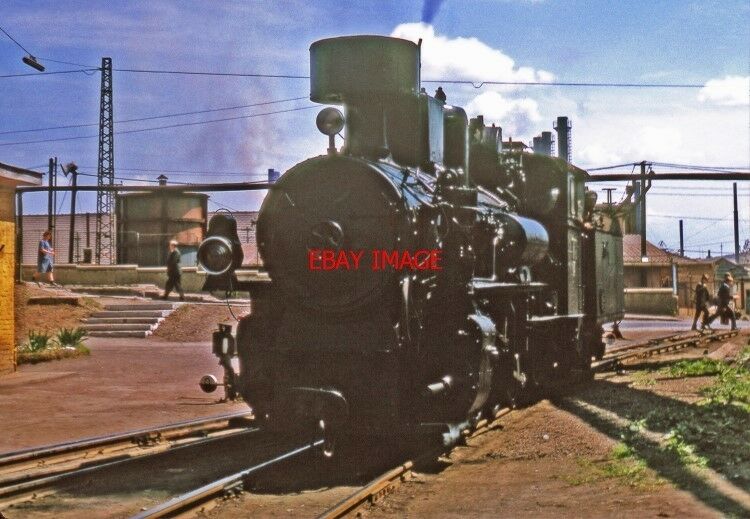 PHOTO HUNGARIAN RAILWAYS - (2) MÁV METRE GAUGE 0-8-2 485 5001 AN EX YUGOSLAVIAN.jpg