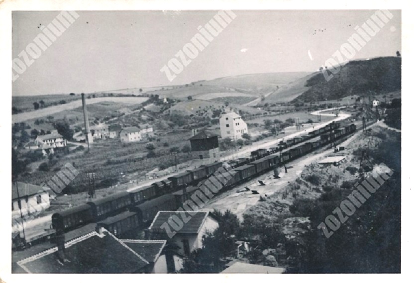 058_001 RIPANJ pod Avalom Yugoslavia ORIGINAL VINTAGE SNAPSHOT PHOTOGRAPH.jpg