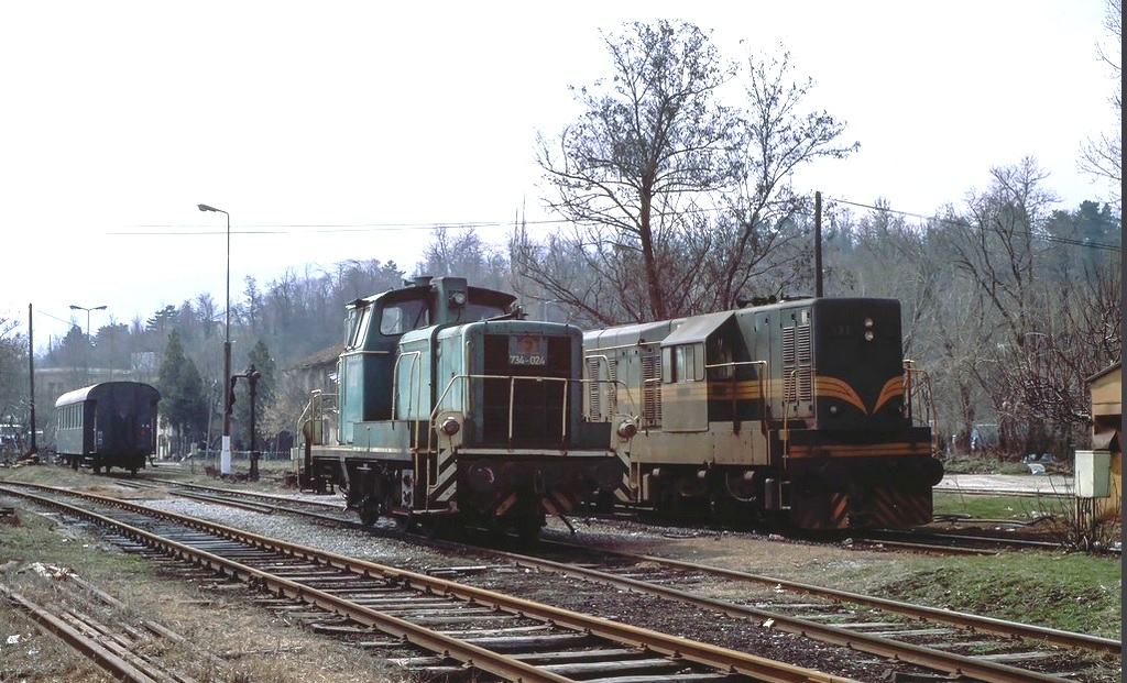 661 236 & 734 024 stabled at Bitola, Macedonia..jpg