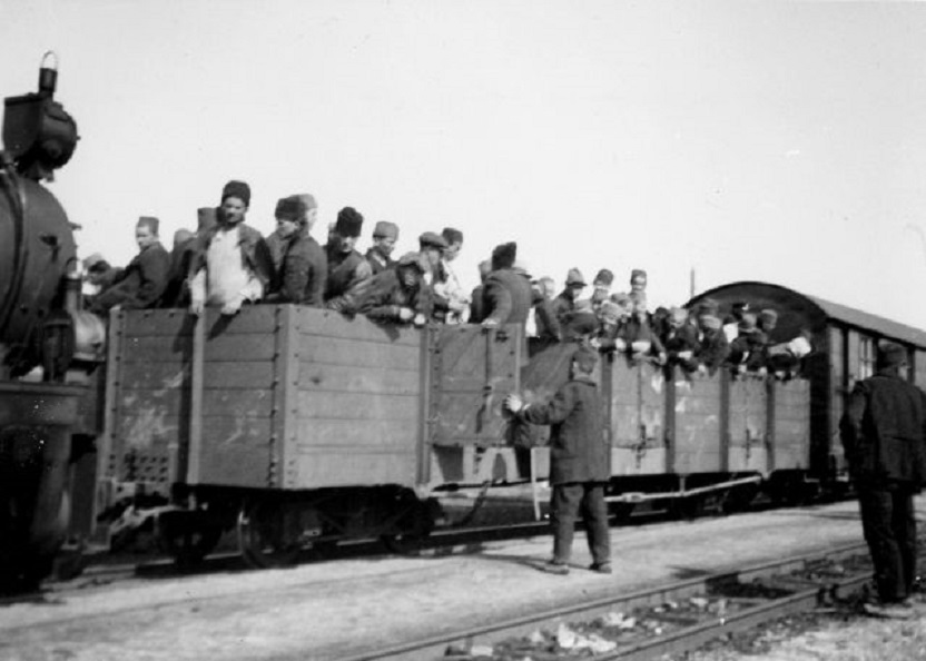 11.331 Bor.jpg