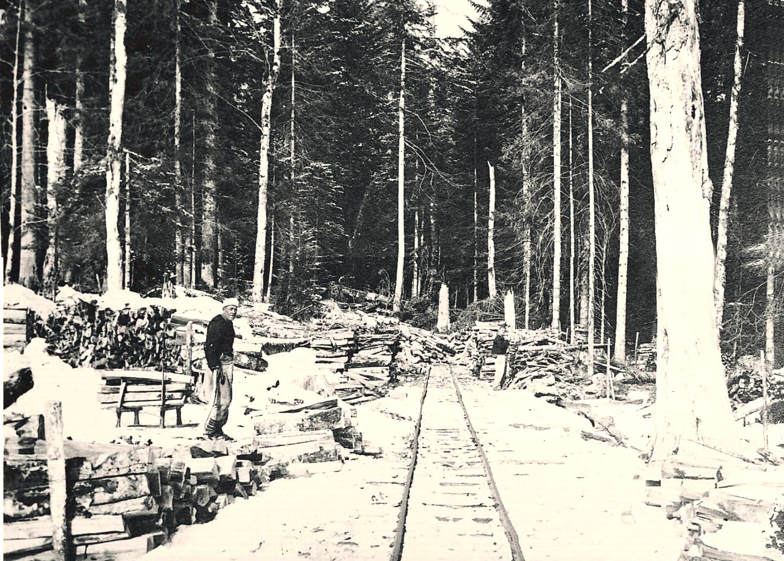 Semešnica - Donji Vakuf, šumska pruga prema čekrku 1910.jpg