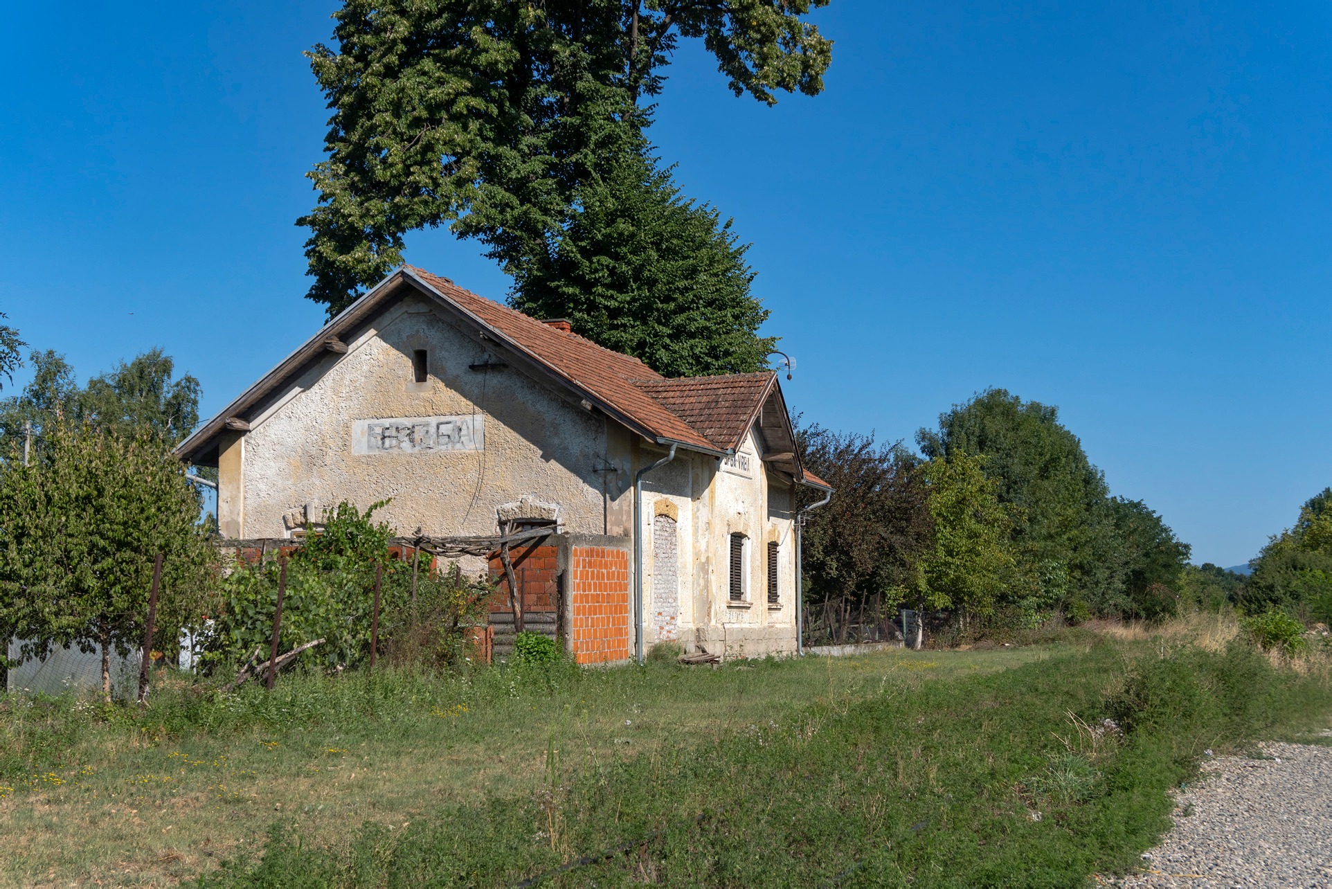 Врба, 08.2024.jpg