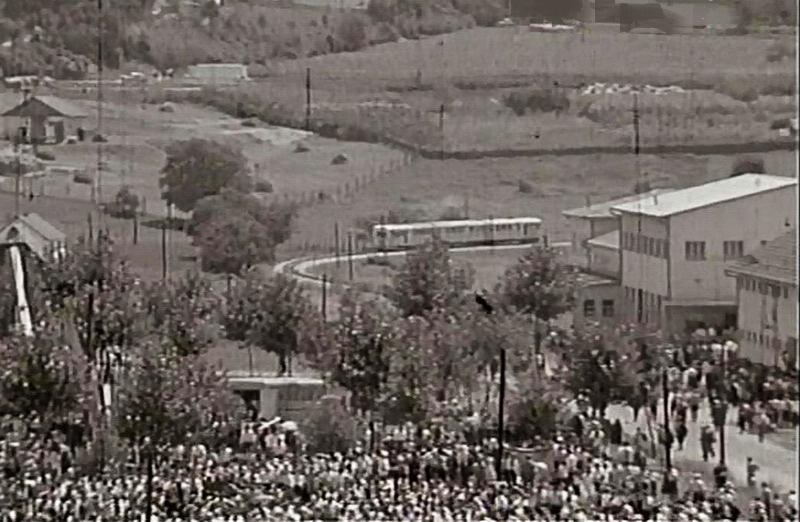 MV1.jpg