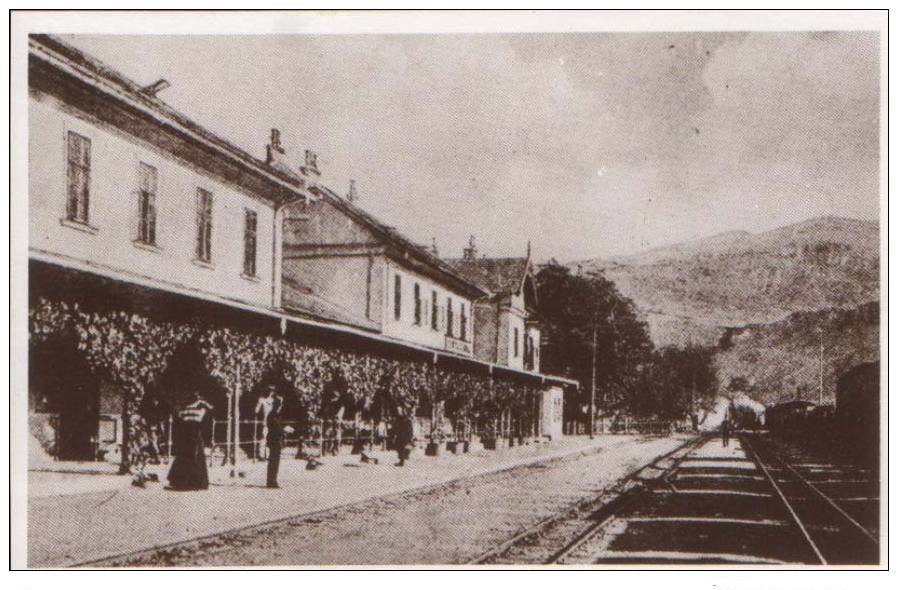 537_001 zenica.jpg