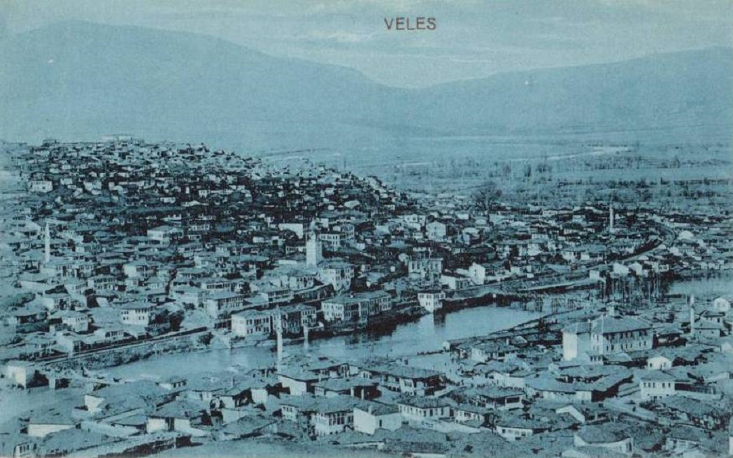 veles76542wx9.jpg