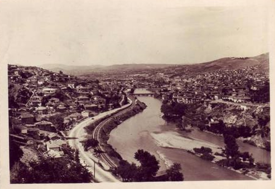 T.veles 1954.jpg