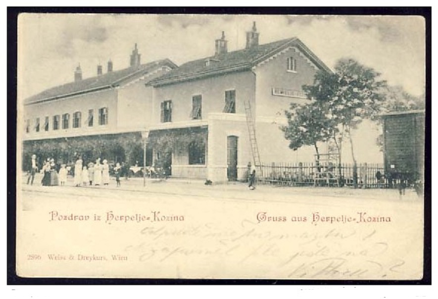 Kozina 969_001.jpg