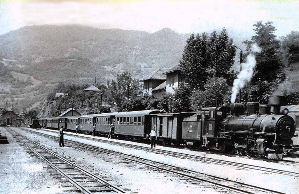 Medjedja.jpg