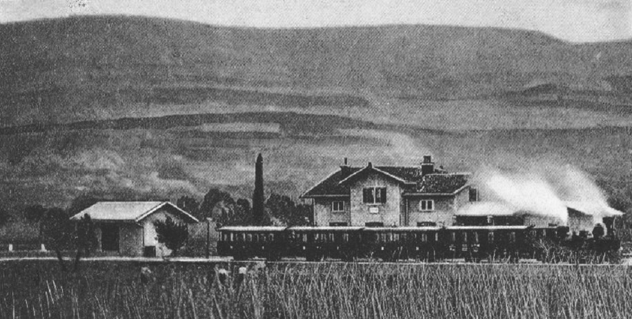 izola5.jpg