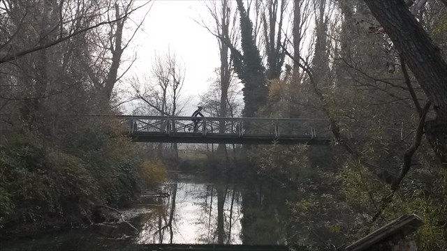 novi.Rizana.jpg
