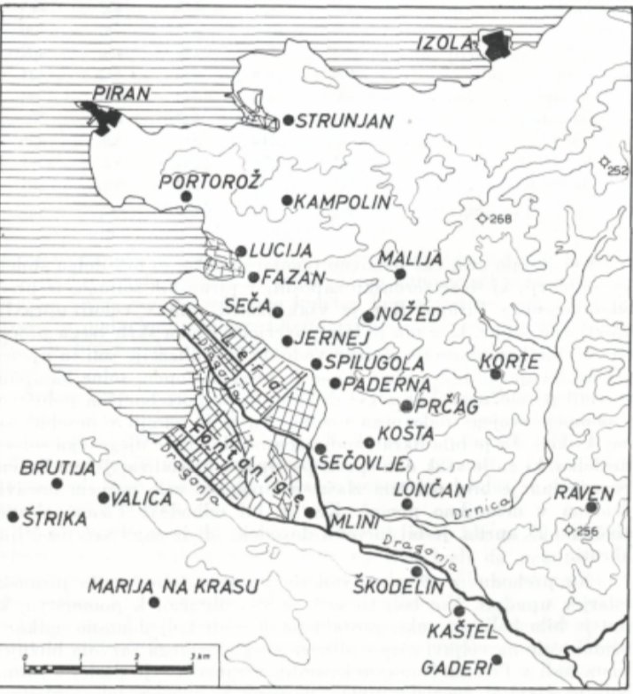 Ssolana.jpg